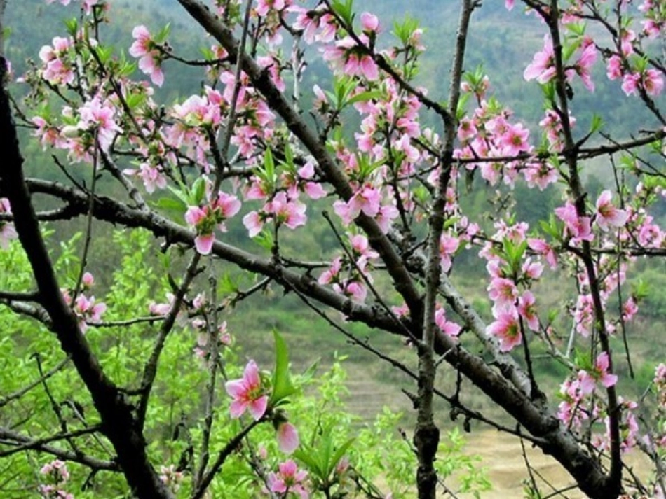 触摸春天 (3)_第2页