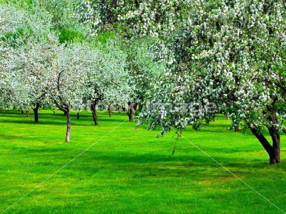 触摸春天 (3)_第3页