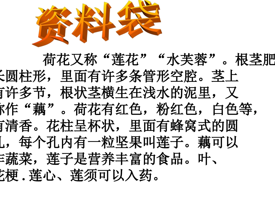 课荷花 课件_第3页