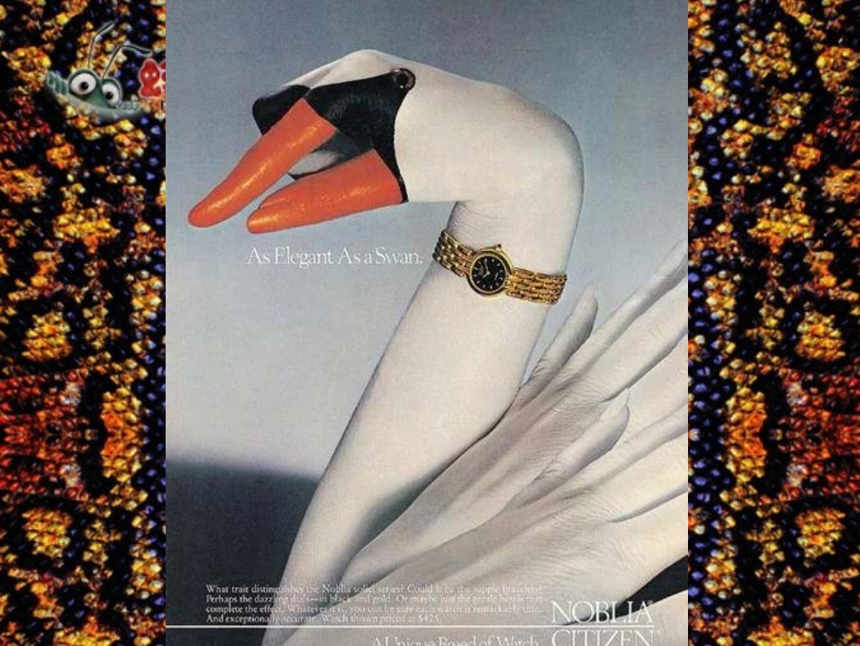 《奇思妙想》课件3_第2页