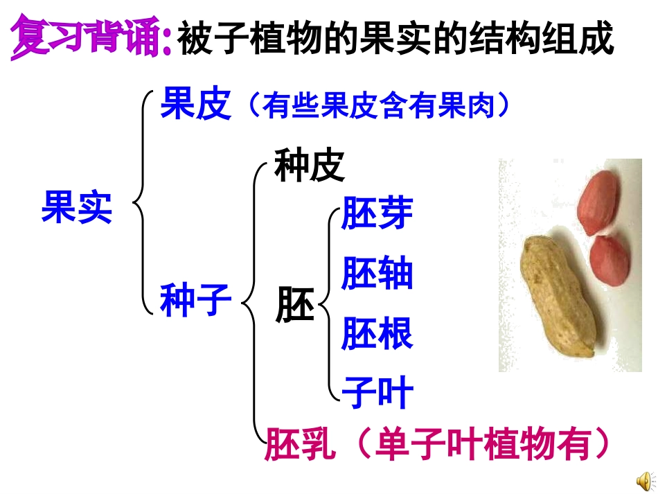 开花和结果赛课_第3页