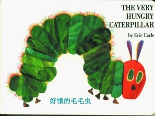 故事-好饿的毛毛虫