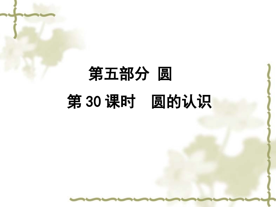 中考总复习第一轮第30课时_第1页