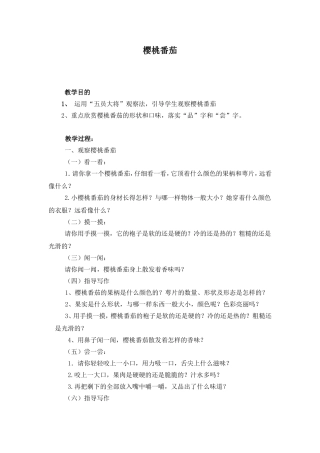 《樱桃番茄》教案