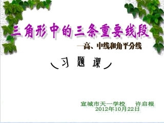 三角形中的三条重要线段（练习）课件课件