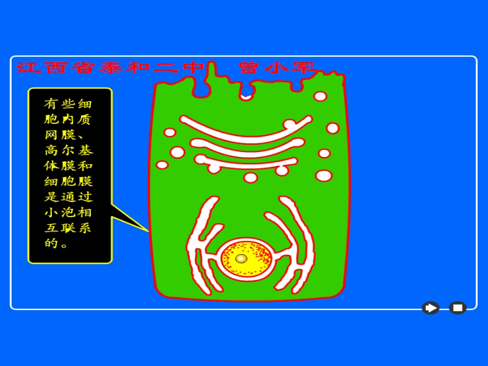 细胞器第二节生物膜系统_第3页