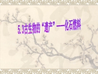 古生物的遗产化石燃料