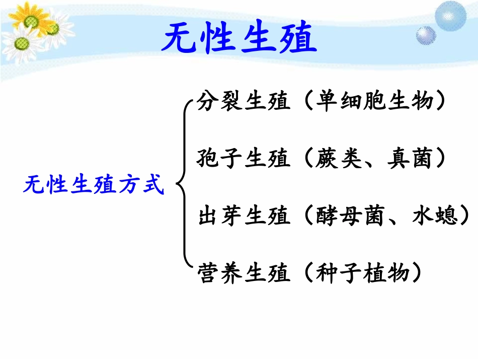 生物的无性生殖_第3页