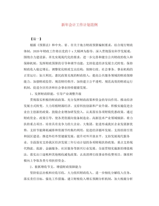 新年会计工作计划范例