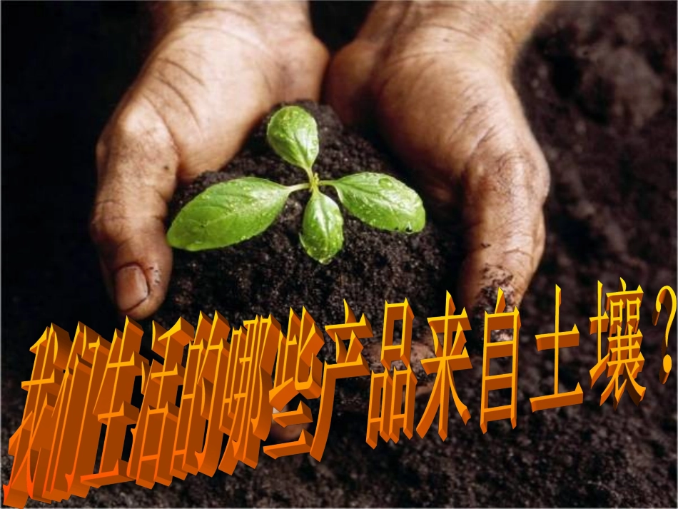 土壤保护建议_第1页