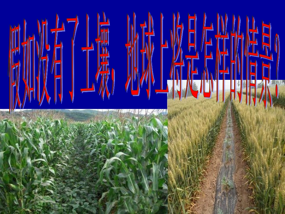 土壤保护建议_第2页