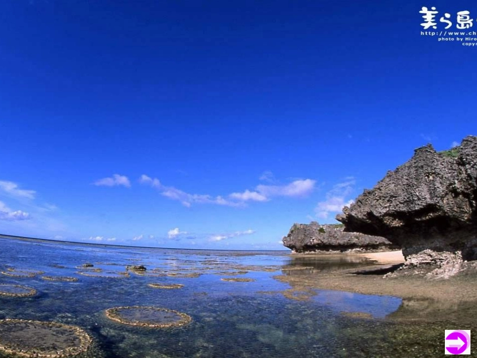 《浅水洼里的小鱼》课件1_第2页