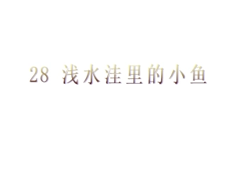 《浅水洼里的小鱼》课件1