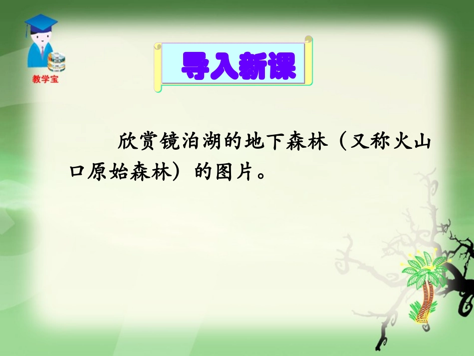 地下森林断想宝_第2页