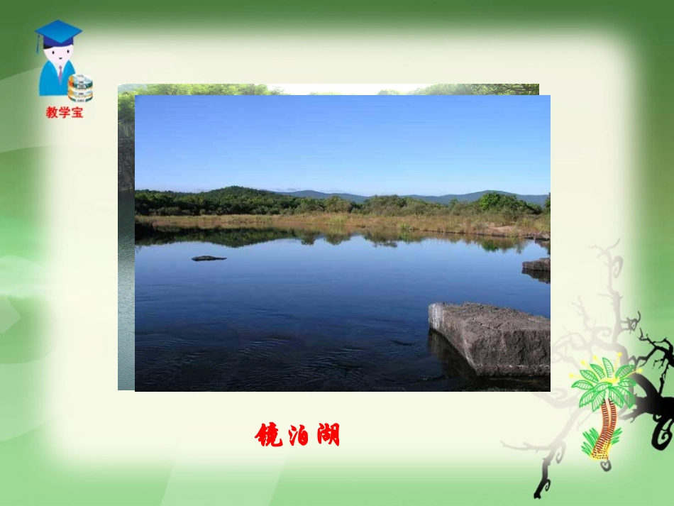 地下森林断想宝_第3页