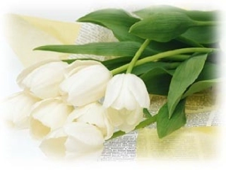 三单元复习（七下）