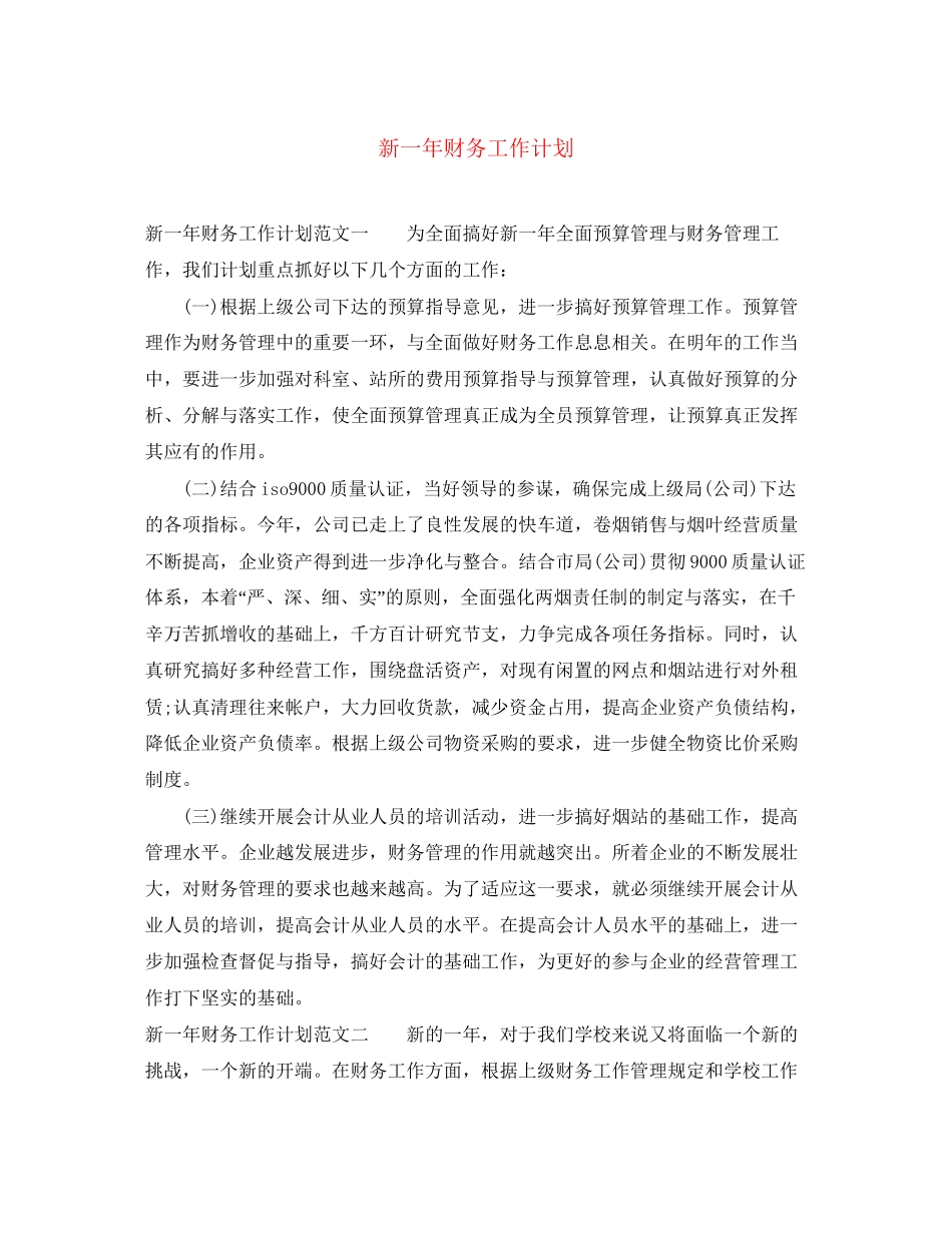 新一年财务工作计划_第1页