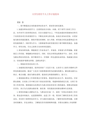 大学生村官个人工作计划范本