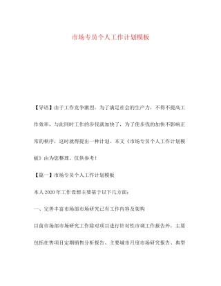 化学试题市场专员个人工作计划模板