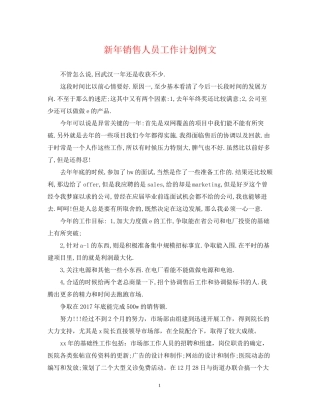 新年销售人员工作计划例文