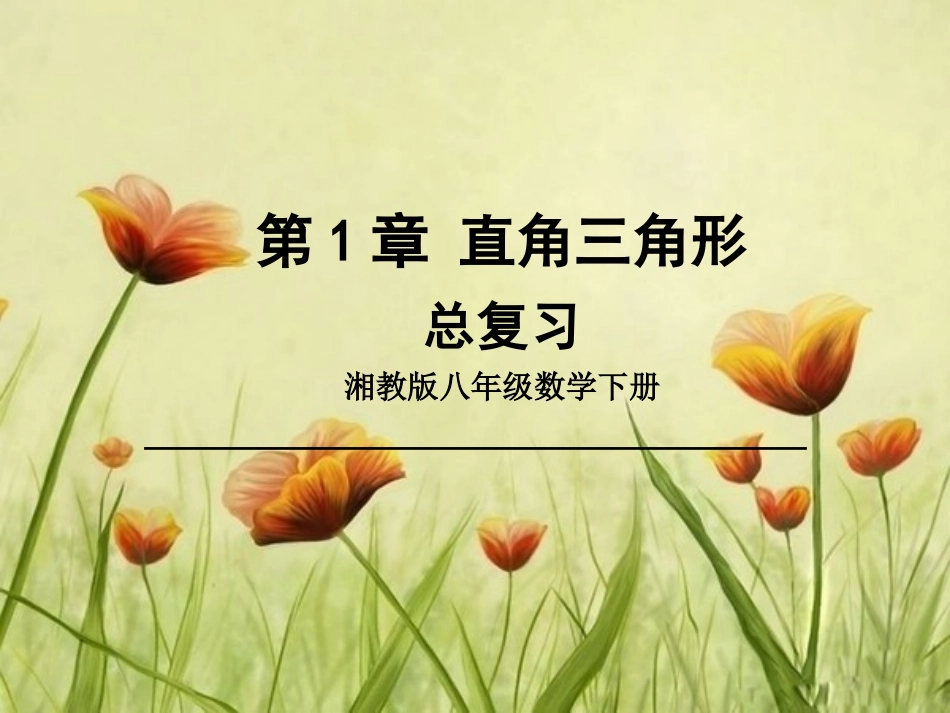 直角三角形复习课件_第1页