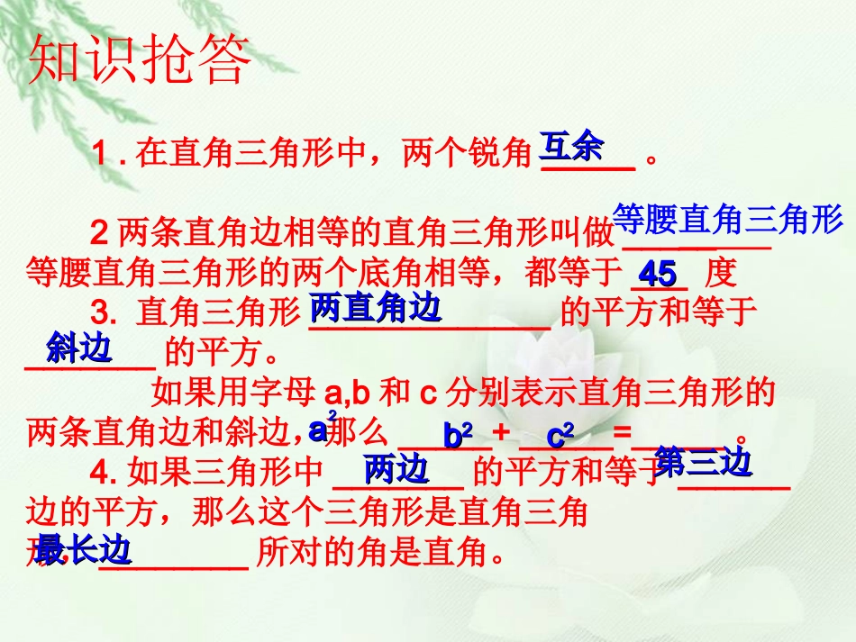 直角三角形复习课件_第2页