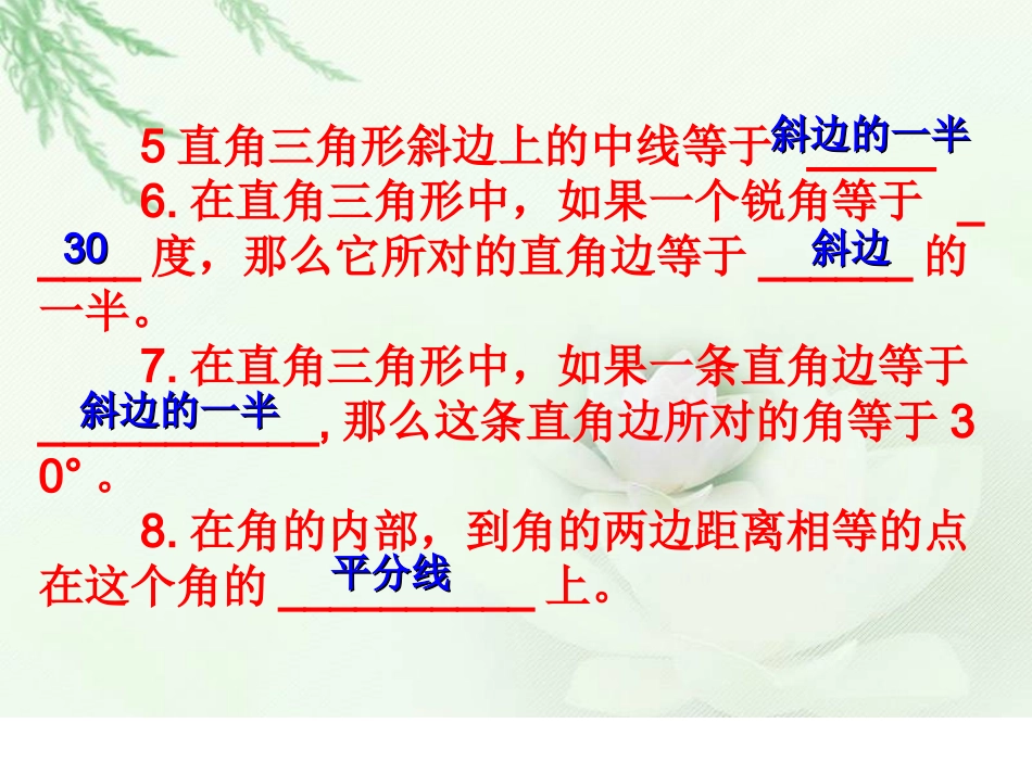 直角三角形复习课件_第3页