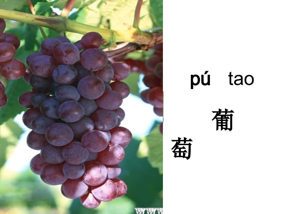 酸的和甜的 (4)_第2页