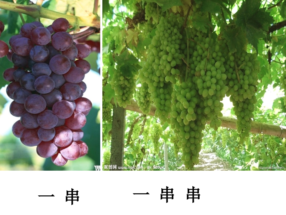 酸的和甜的 (4)_第3页