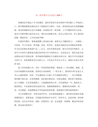 初一新学期学习计划作文650字