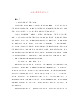 财务主管周计划怎么写