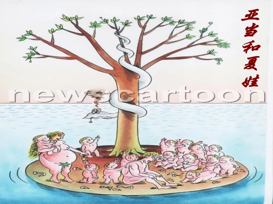 祖国境里的远古人类_第3页