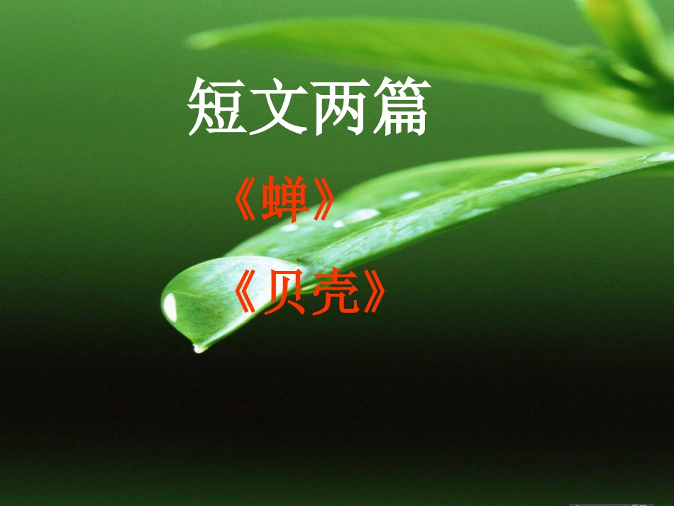 短文两篇《蝉》《贝壳》课件(16页)__2_第2页