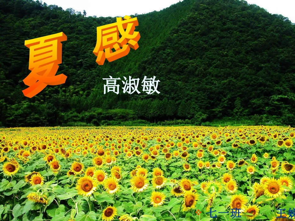 夏感公开课课件_第1页