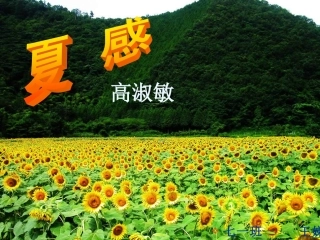 夏感公开课课件