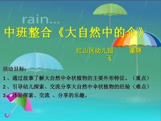 中班整合活动大自然中的伞