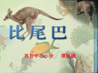 小学一年级上册语文第十课比尾巴PPT课件2
