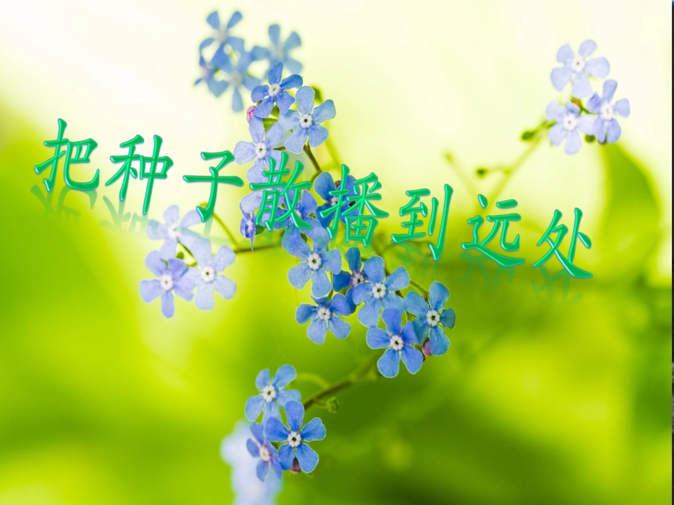 把种子散播到远处-hyyzixin_第1页