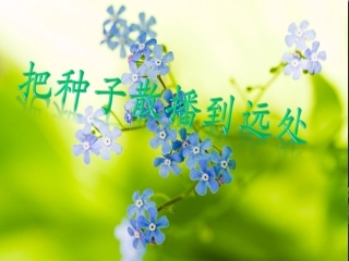 把种子散播到远处-hyyzixin
