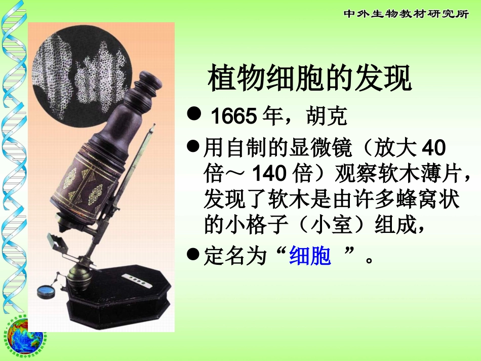 植物细胞的结构与功能_第2页