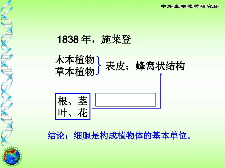 植物细胞的结构与功能_第3页
