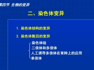 染色体变异 (4)