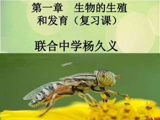 生物的生殖和发育