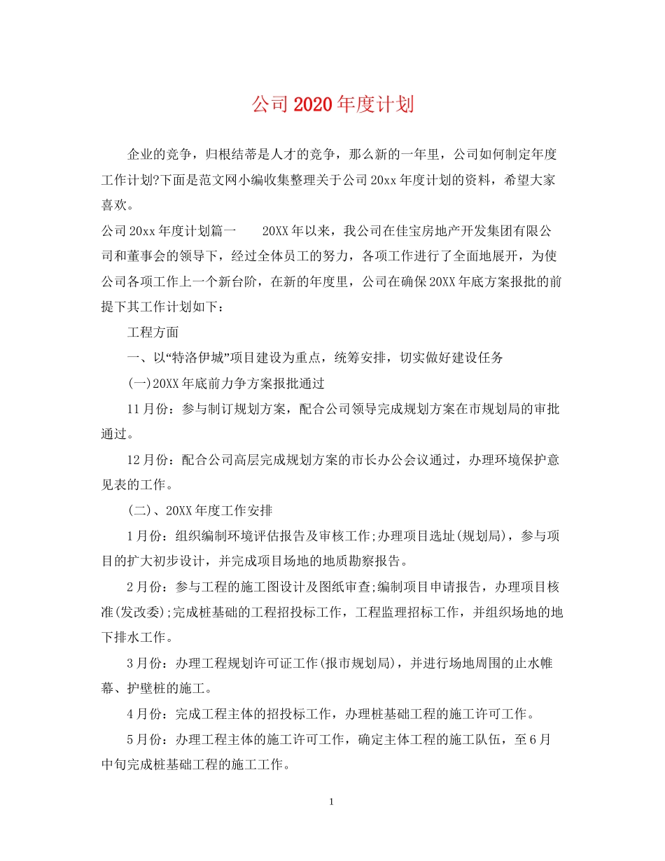 公司年度计划_第1页