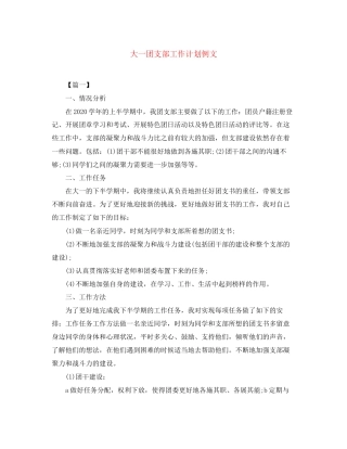 大一团支部工作计划例文