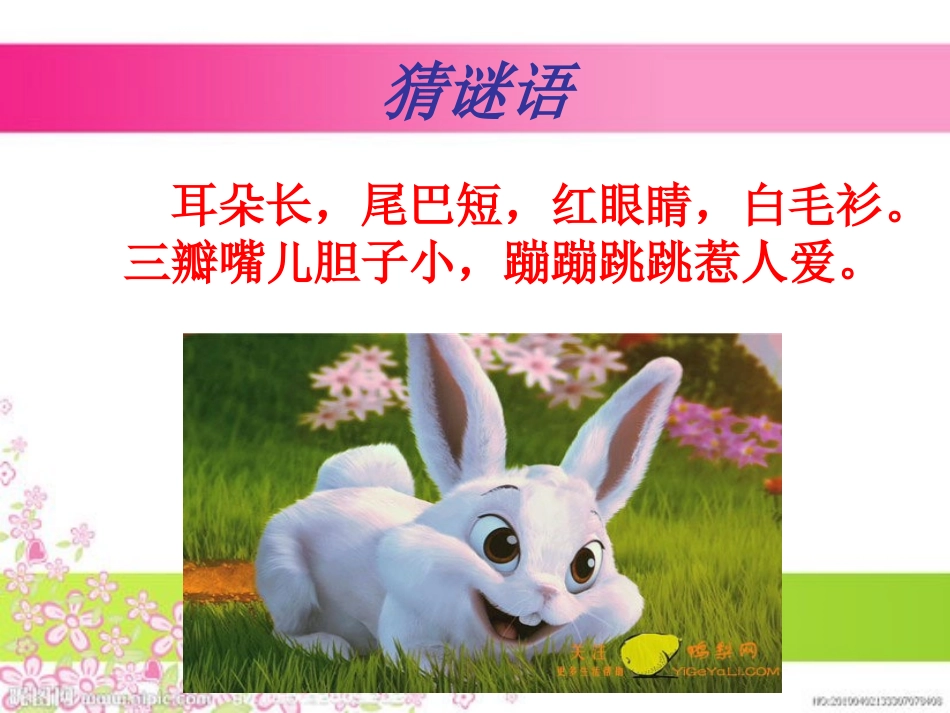 看图写话训练_第1页