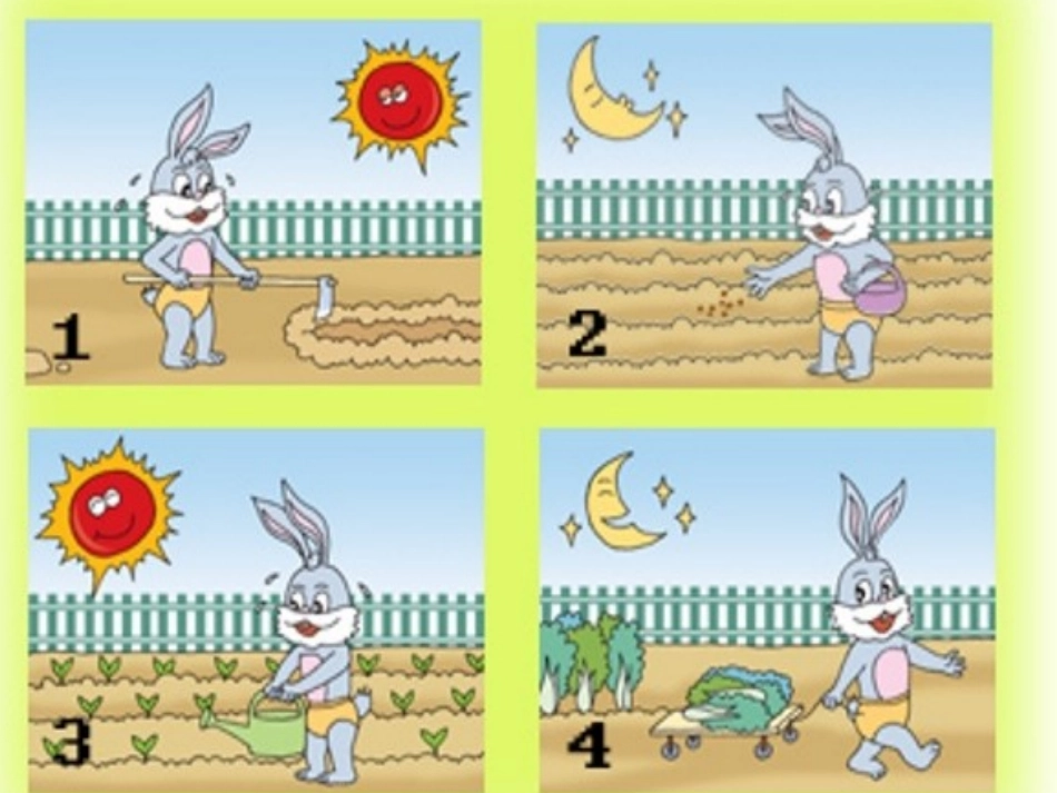 看图写话训练_第2页