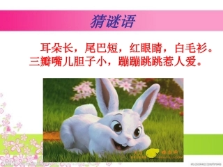看图写话训练
