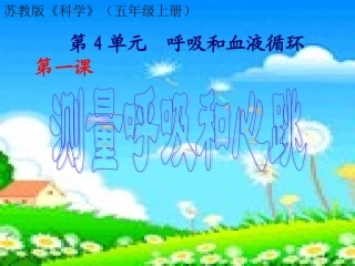 《测量呼吸和心跳》PPT
