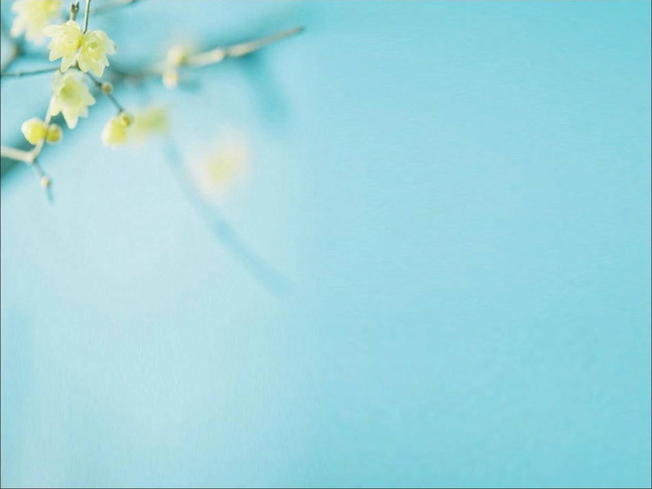 文本设计模板_第1页